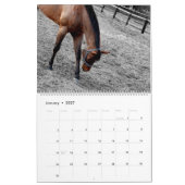 calendrier de chevaux (Jan 2027)