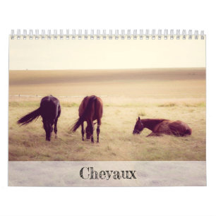 Calendrier de chevaux