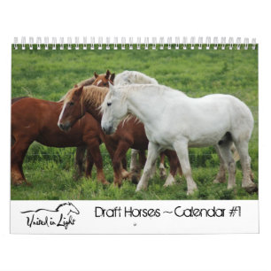 Calendrier de chevaux du trait #1