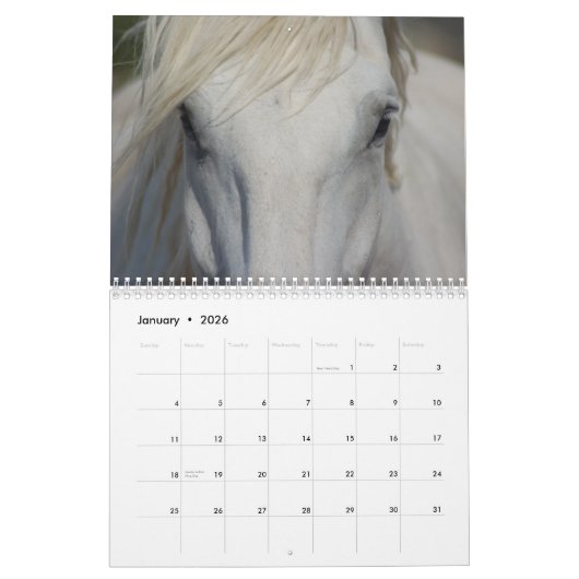 Calendrier de chevaux du trait #1 (Jan 2026)