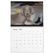 Calendrier de chien (Feb 2027)