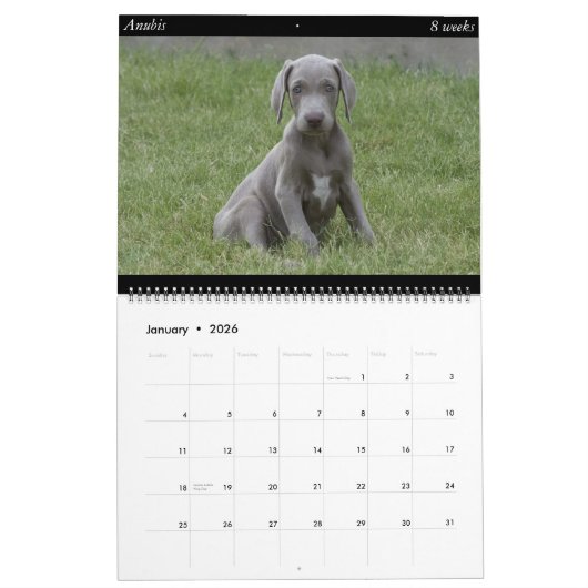 Calendrier de chien (Jan 2026)