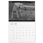 Calendrier de chien (Mar 2026)