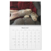 Calendrier de chien (Mar 2027)