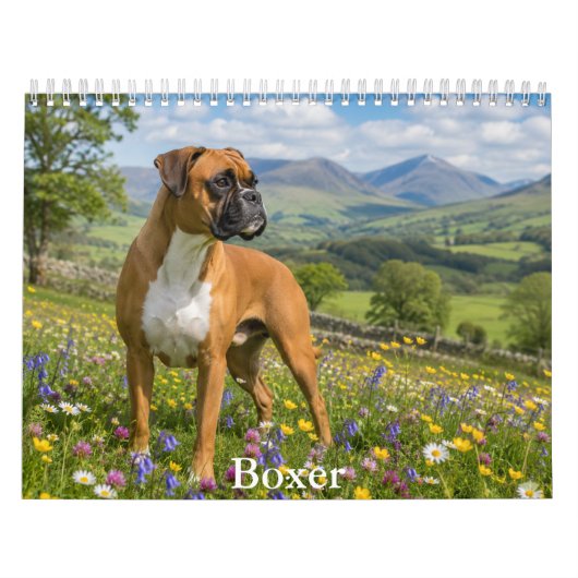Calendrier de chien Boxer (Protection)