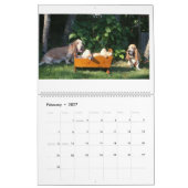 Calendrier de chien de basset (Feb 2027)