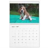 Calendrier de chien de basset (Mar 2027)