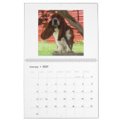 Calendrier de chien de basset (Jan 2027)