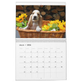 Calendrier de chien de basset (Mar 2026)