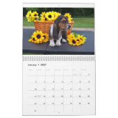Calendrier de chien de basset (Jan 2027)