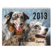 Calendrier de chien de berger de 2013 Australiens (Protection)