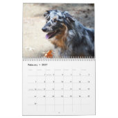 Calendrier de chien de berger de 2013 Australiens (Feb 2027)