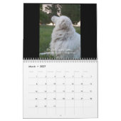 Calendrier de chien de berger de Maremma (Mar 2027)