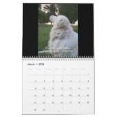 Calendrier de chien de berger de Maremma (Mar 2026)