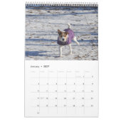 Calendrier de chien de Jack Russell Terrier de (Jan 2027)
