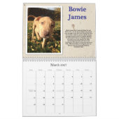 Calendrier de chien de la délivrance de l'oscar (Mar 2027)