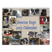 Calendrier de chien de la délivrance de l'oscar (Protection)