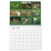 Calendrier de chien d'Ibizan (Mar 2026)