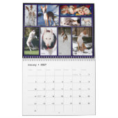 Calendrier de chien d'Ibizan (Jan 2027)