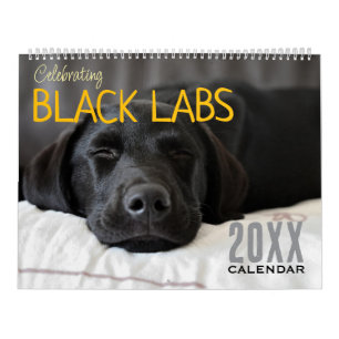 Calendrier de chien Labrador noir à célébrer 2026