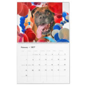 CALENDRIER DE CHIENS #1 Grandes & Petites Races (Feb 2027)
