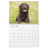 Calendrier de chiens de labrador retriever - (Mar 2026)