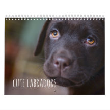 Calendrier de chiens de labrador retriever -