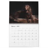 Calendrier de chiens de labrador retriever - (Feb 2027)