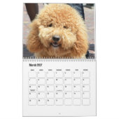 Calendrier de chiens mignons (Mar 2027)