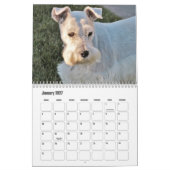 Calendrier de chiens mignons (Jan 2027)