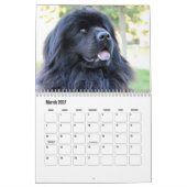 Calendrier de chiens mignons (Mar 2027)