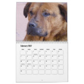 Calendrier de chiens mignons (Feb 2027)