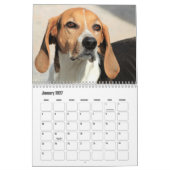 Calendrier de chiens mignons (Jan 2027)