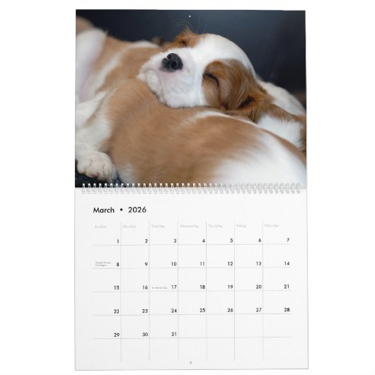 Calendrier de chiot (Mar 2026)