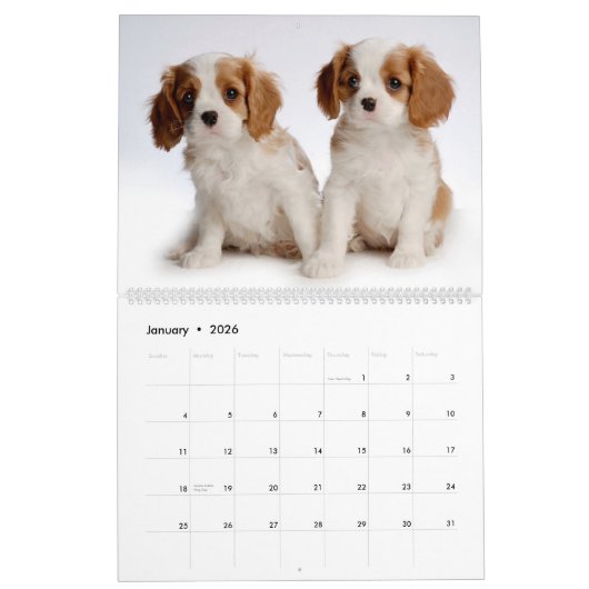 Calendrier de chiot (Jan 2026)