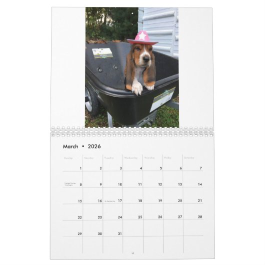 Calendrier de chiot de Basset Hound (Mar 2026)