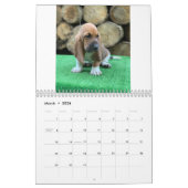 Calendrier de chiot de chien de basset (Mar 2026)
