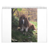 Calendrier de chiot de chien de basset (Protection)