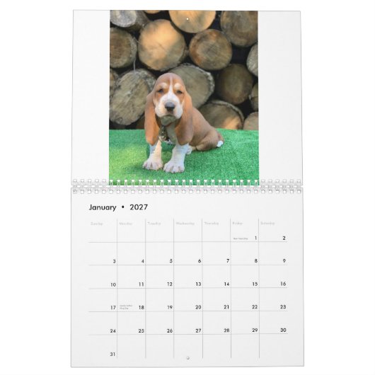 Calendrier de chiot de chien de basset (Jan 2027)