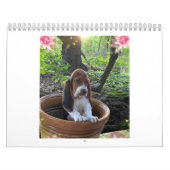 Calendrier de chiot de chien de basset (Protection)