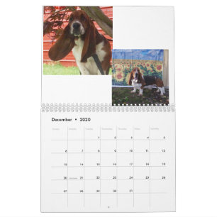 Calendrier de chiot de chien de basset