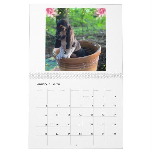 Calendrier de chiot de chien de basset (Jan 2026)