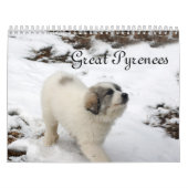 Calendrier de chiot de Grands Pyrénées (Protection)