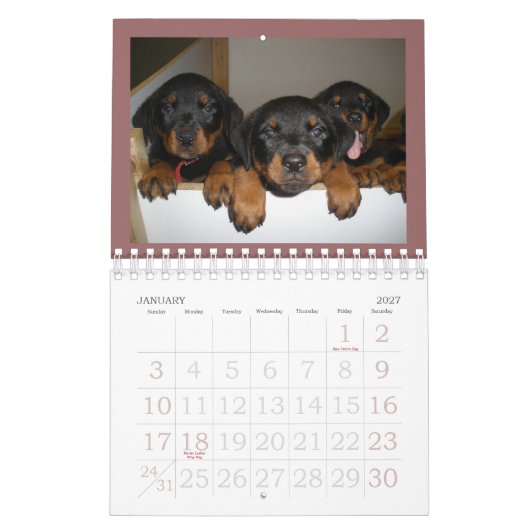 Calendrier de chiot de rottweiler (Jan 2027)