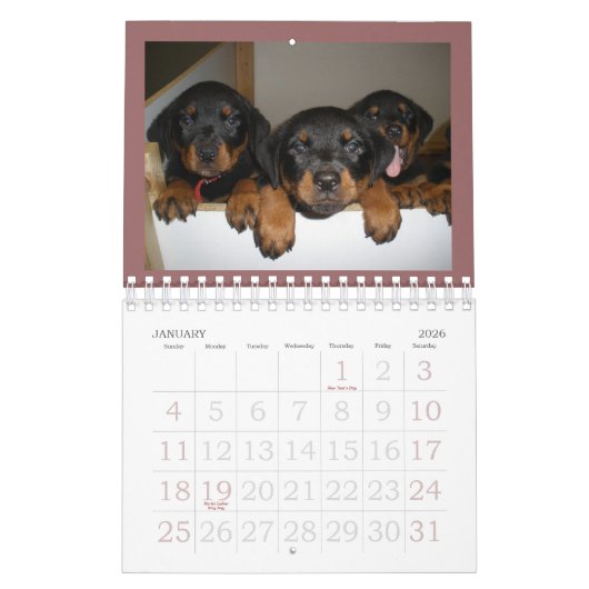 Calendrier de chiot de rottweiler (Jan 2026)