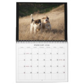 Calendrier de chiots de ferme (Feb 2026)