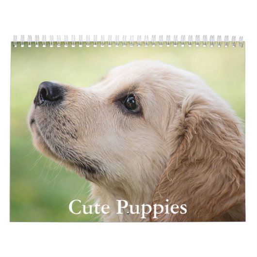 Calendrier de chiots mignons (Protection)