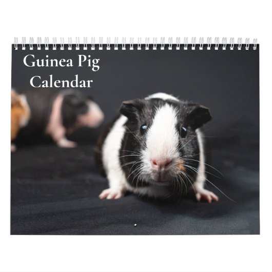 Calendrier de cochons d'Inde 2026 (Protection)