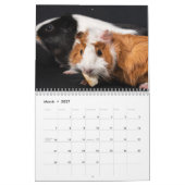 Calendrier de cochons d'Inde 2026 (Mar 2027)