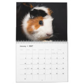 Calendrier de cochons d'Inde 2026 (Jan 2027)
